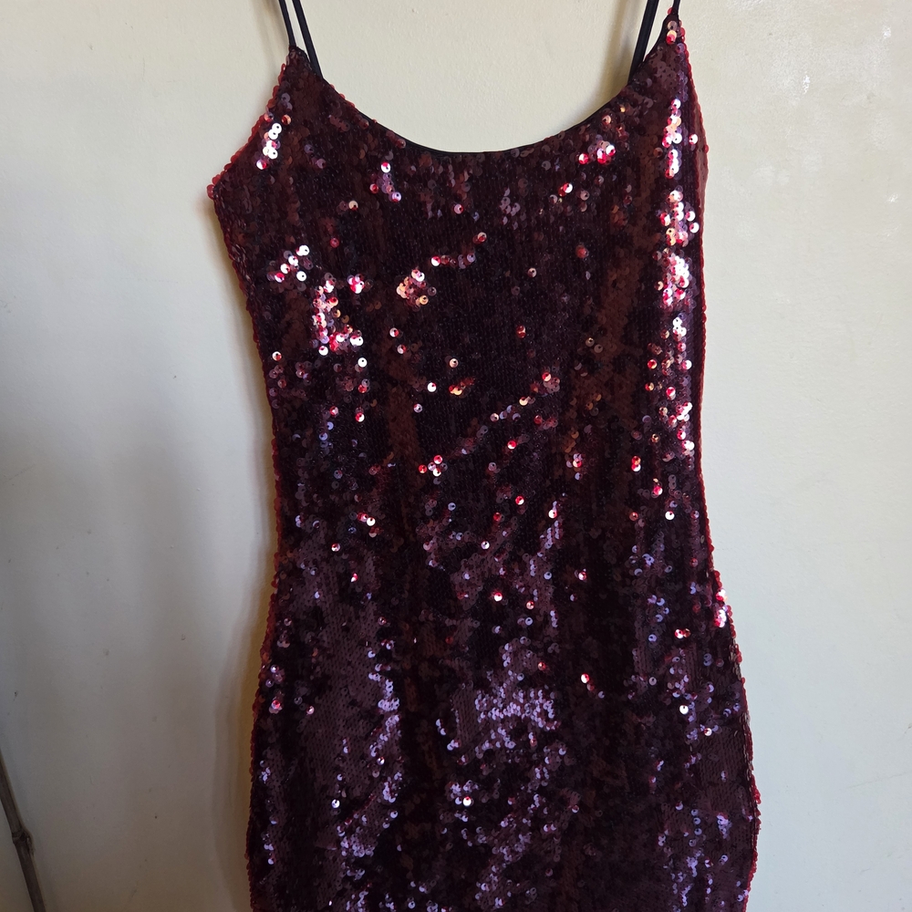 Lucy in the Sky Burgundy Sequin Dress